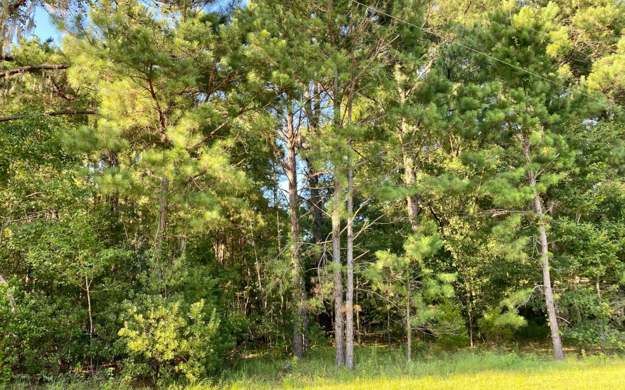 LOT26 NW 36TH TRAIL, JENNINGS, FL 32053, photo 1 of 10