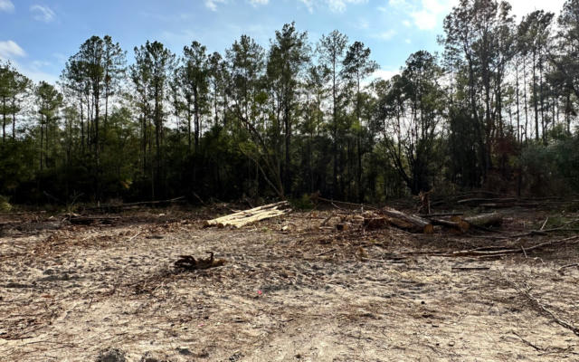 TBD 12TH TERRACE LOT 15, LIVE OAK, FL 32060, photo 3 of 3