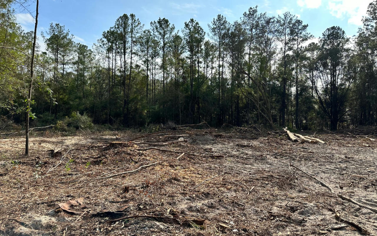 TBD 12TH TERRACE LOT 15, LIVE OAK, FL 32060, photo 1 of 3