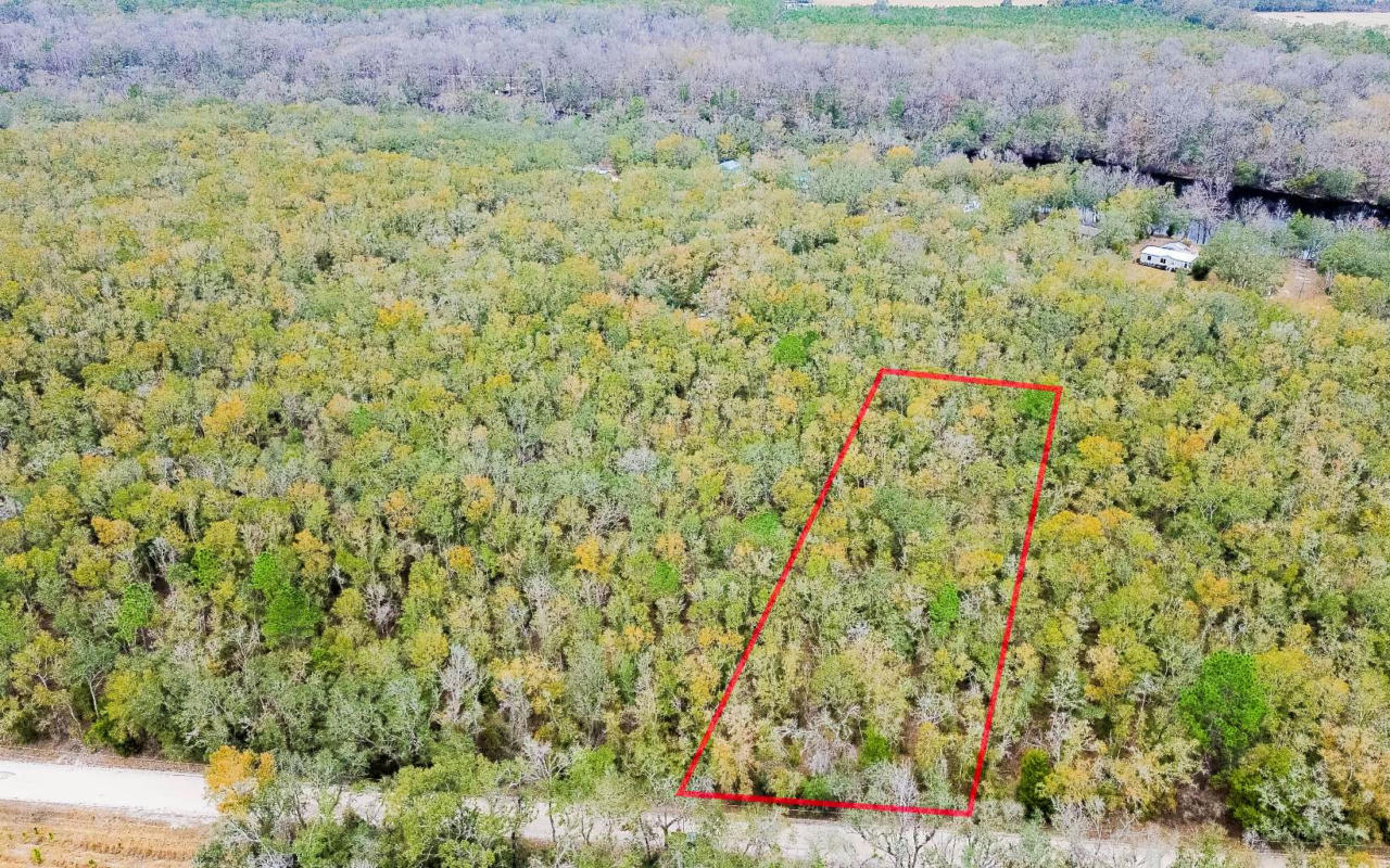 0 NE TANSY ROAD LOT 2, MAYO, FL 32066, photo 1 of 7