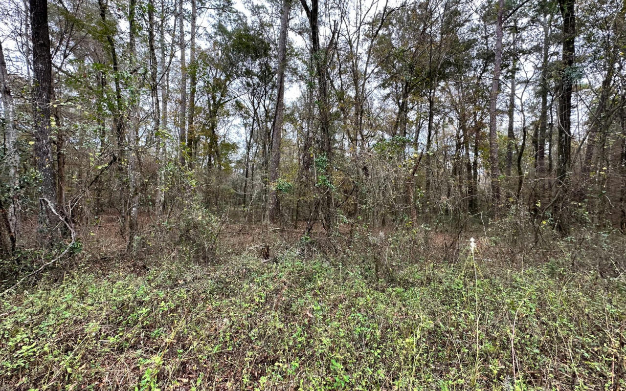 TBD 12TH TERRACE LOT 4, LIVE OAK, FL 32060, photo 1 of 3