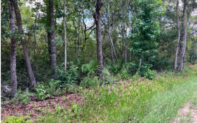 LOT 4 SE 140TH CT & 87TH TERR, WHITE SPRINGS, FL 32096, photo 5 of 8