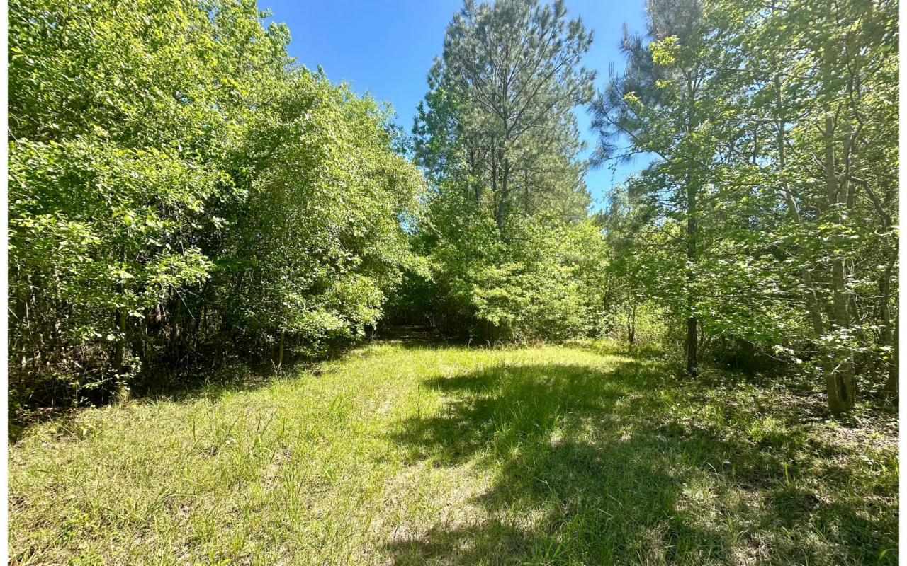 NW VACANT BOGGY BAY RD, OTHER, FL 32331, photo 1 of 30