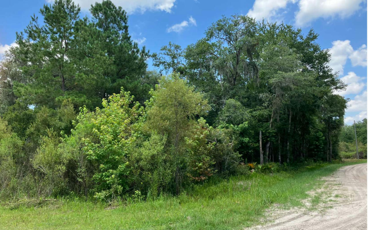 LOT 4 SE 140TH CT & 87TH TERR, WHITE SPRINGS, FL 32096, photo 1 of 8