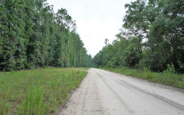 TBD 237TH DR LOT 42, LIVE OAK, FL 32060, photo 2 of 11