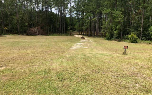 LOT 2 BEULAH ESTATES, WELLBORN, FL 32094 - Image 1