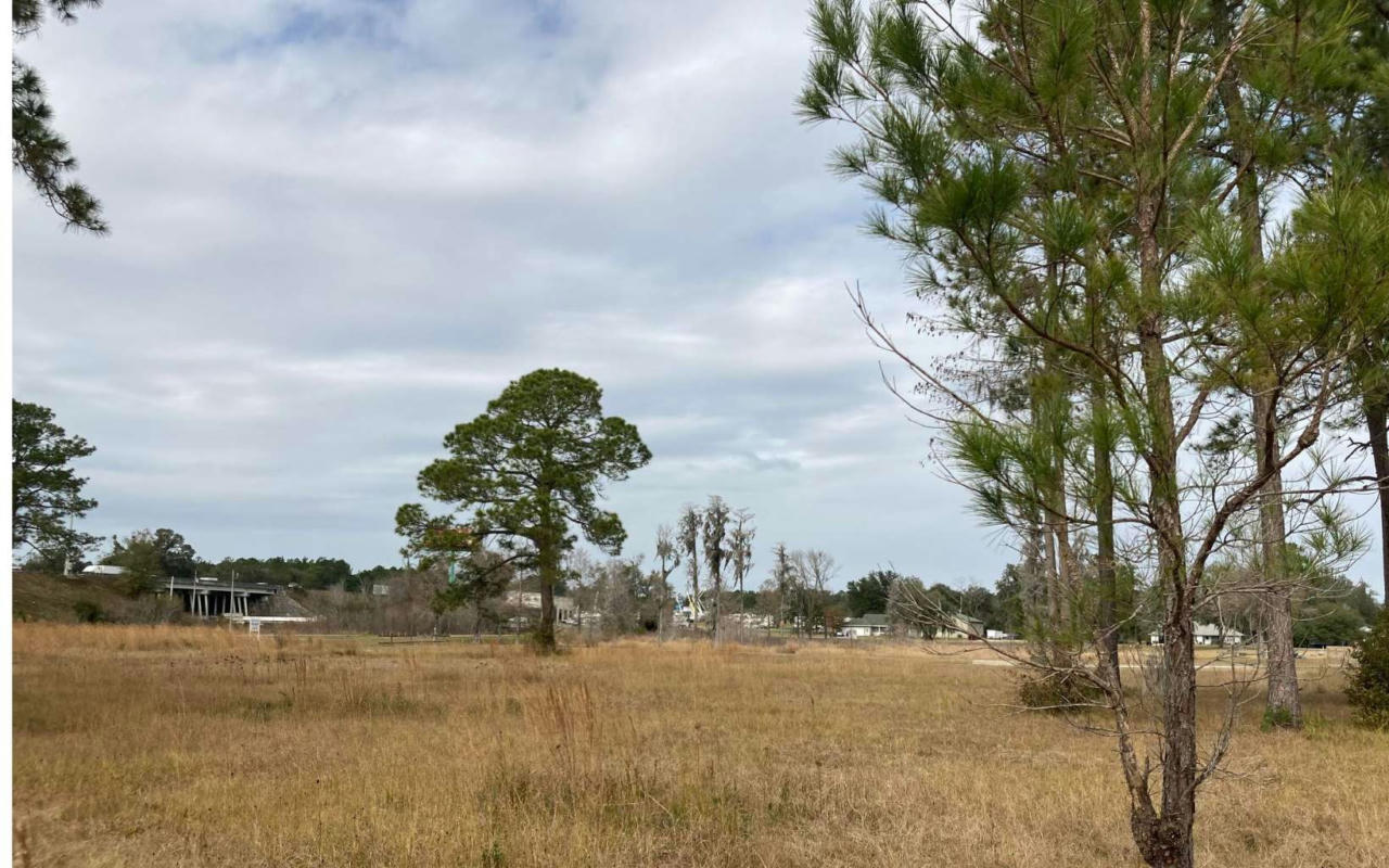 LOT 6 SW POBEREZNY GLEN, LAKE CITY, FL 32025, photo 1 of 4