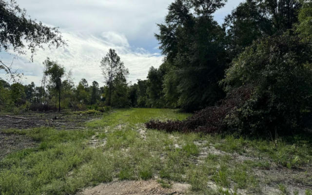 TBD NW SOPHIE DRIVE, WHITE SPRINGS, FL 32096 - Image 1