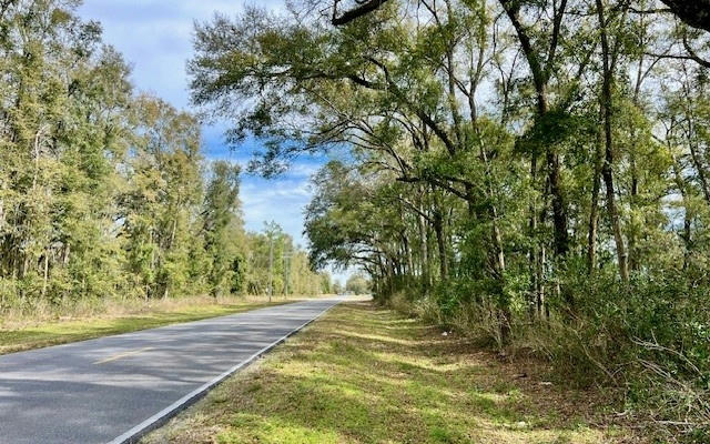 NW COUNTY ROAD 342, BELL, FL 32619, photo 1 of 11