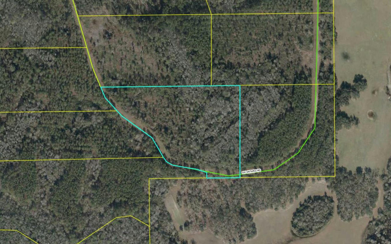 LOT32 SW ONTARIO ROAD, OTHER, FL 32331, photo 1