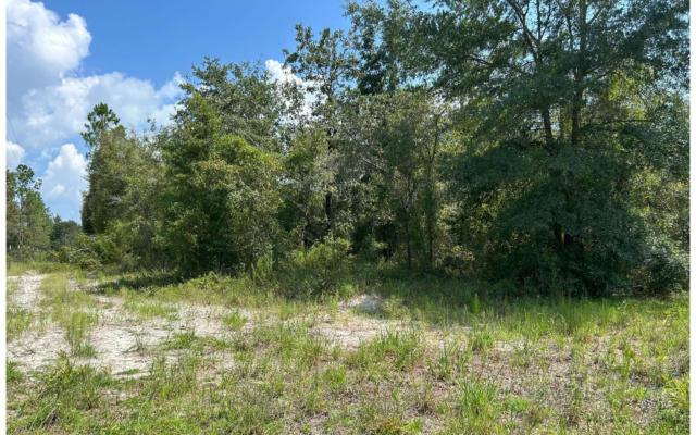 TBD 7 164TH ST., MCALPIN, FL 32062 - Image 1