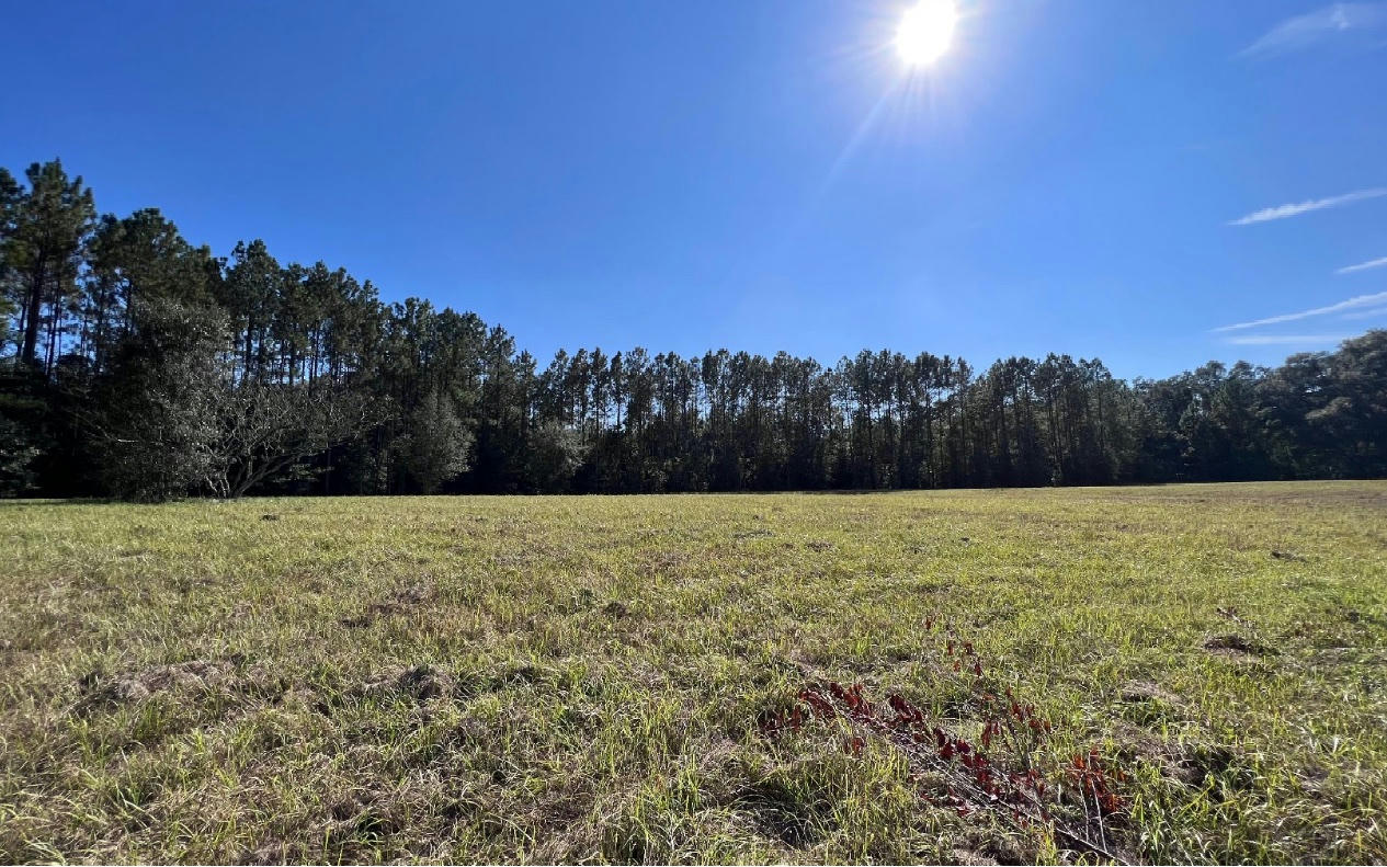 SW WINDSOR DRIVE, LAKE CITY, FL 32024 Vacant Land For Sale | MLS ...