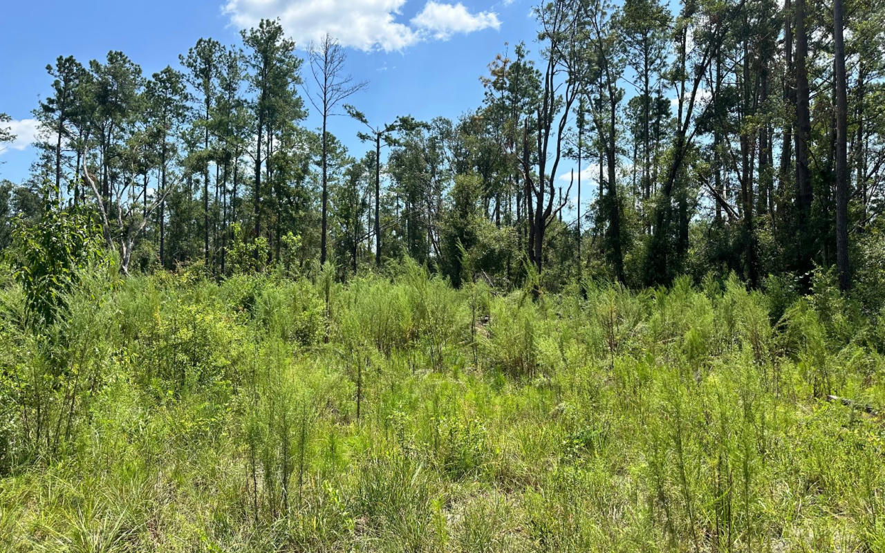 TBD 12TH TERRACE LOT 14, LIVE OAK, FL 32060, photo 1 of 6