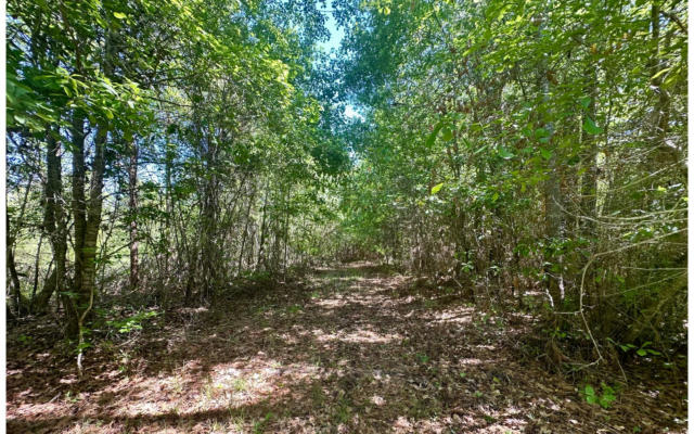 NW VACANT BOGGY BAY RD, OTHER, FL 32331, photo 2 of 30