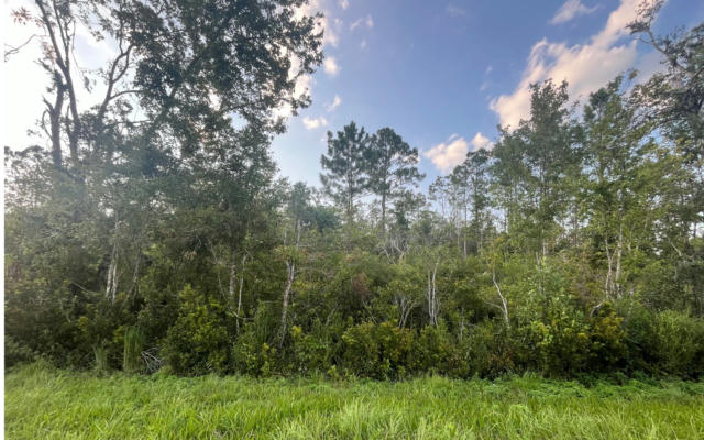 TBD CR 14 LOT 4, GREENVILLE, FL 32331 - Image 1