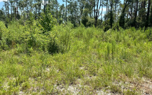 TBD 12TH TERRACE LOT 14, LIVE OAK, FL 32060, photo 4 of 6