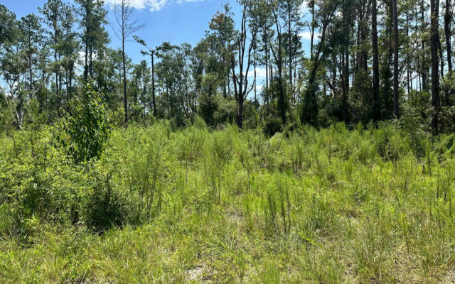 TBD 12TH TERRACE LOT 14, LIVE OAK, FL 32060, photo 2 of 6