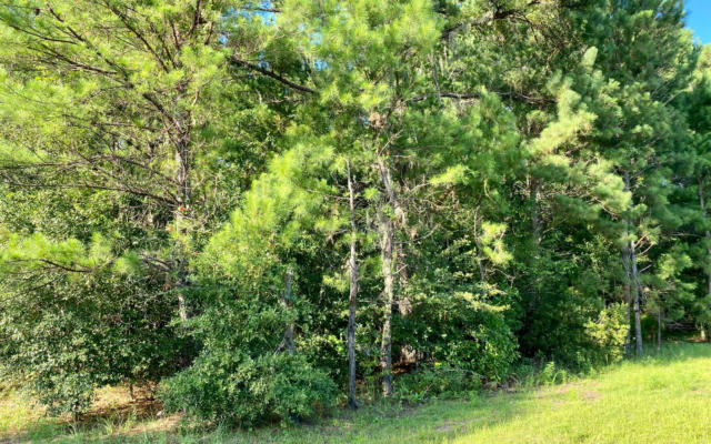 LOT26 NW 36TH TRAIL, JENNINGS, FL 32053, photo 3 of 10