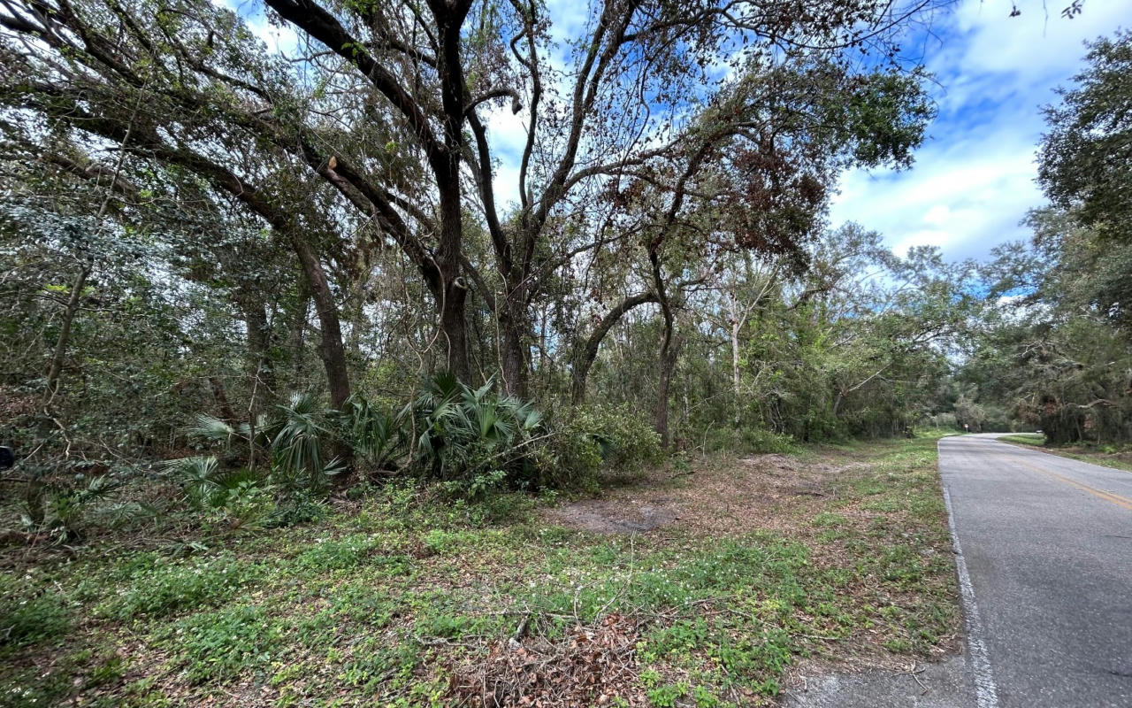 TBD CR 292, MAYO, FL 32066, photo 1 of 5