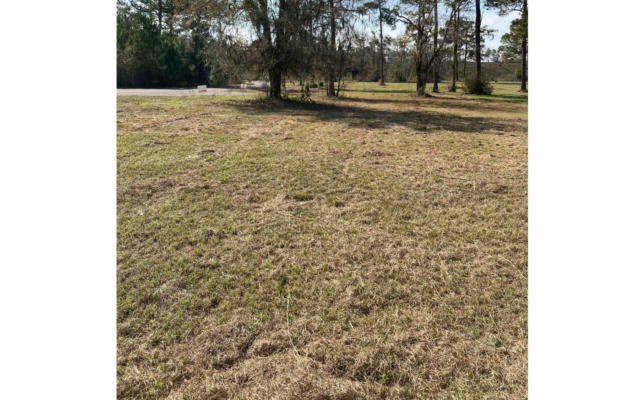 LOT 7 SW POBEREZNY GLEN, LAKE CITY, FL 32025, photo 4 of 4