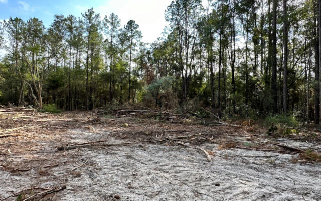 TBD 12TH TERRACE LOT 15, LIVE OAK, FL 32060, photo 2 of 3