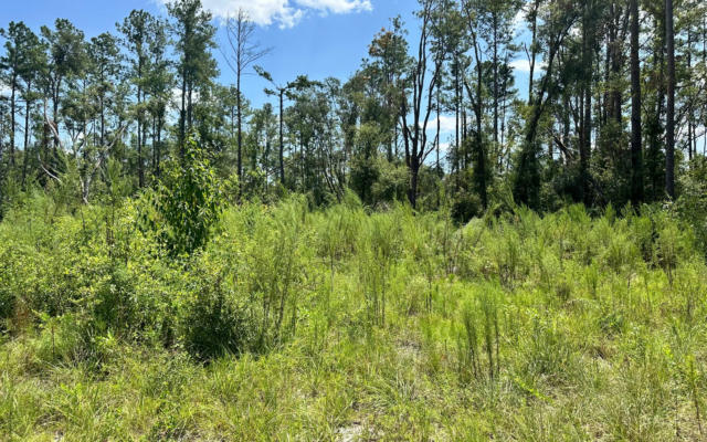 TBD 12TH TERRACE LOT 14, LIVE OAK, FL 32060, photo 3 of 6