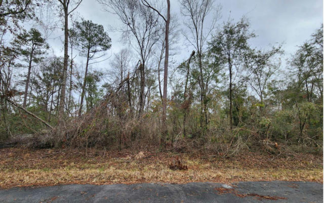 TBD 205TH LANE - LOT 11, LIVE OAK, FL 32060, photo 4 of 13