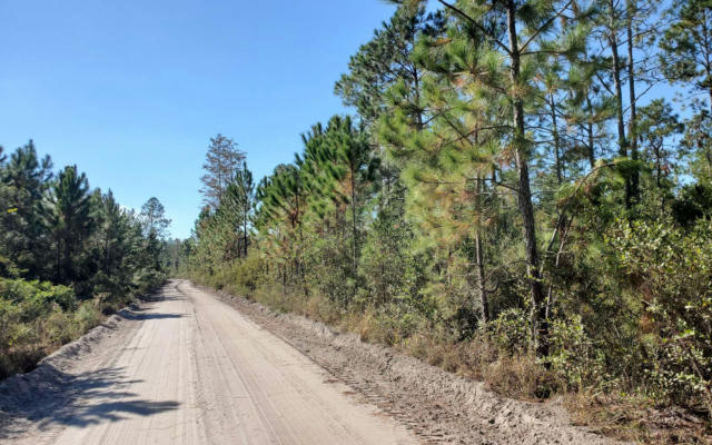 COUNTY LINE RD, LEE, FL 32059, photo 2 of 55