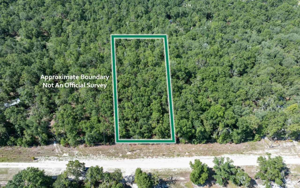 TBD NE MAHLON DRIVE, LEE, FL 32059, photo 1 of 14