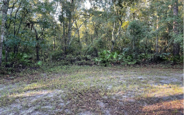 TBD 188TH PL, MCALPIN, FL 32062 - Image 1