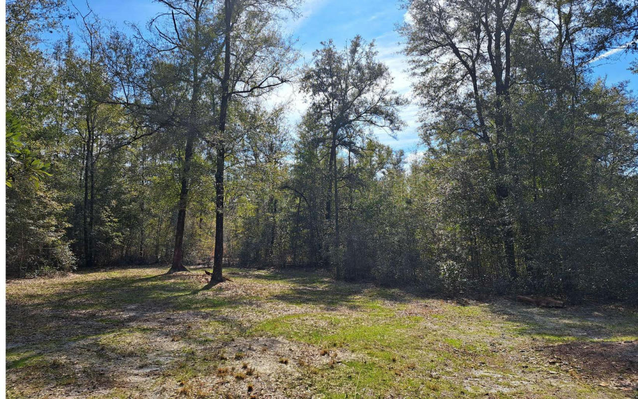 TBD SW DRAKE PLACE, FORT WHITE, FL 32038, photo 1 of 19